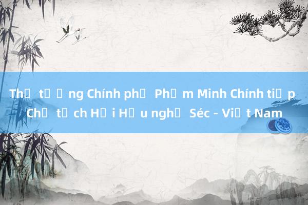 Thủ tướng Chính phủ Phạm Minh Chính tiếp Chủ tịch Hội Hữu nghị Séc - Việt Nam