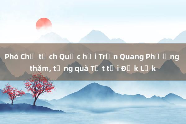 Phó Chủ tịch Quốc hội Trần Quang Phương thăm， tặng quà Tết tại Đắk Lắk