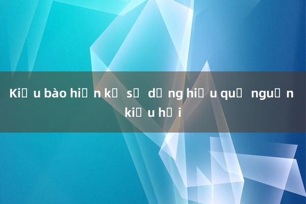 Kiều bào hiến kế sử dụng hiệu quả nguồn kiều hối