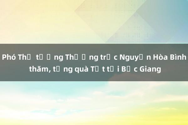 Phó Thủ tướng Thường trực Nguyễn Hòa Bình thăm， tặng quà Tết tại Bắc Giang