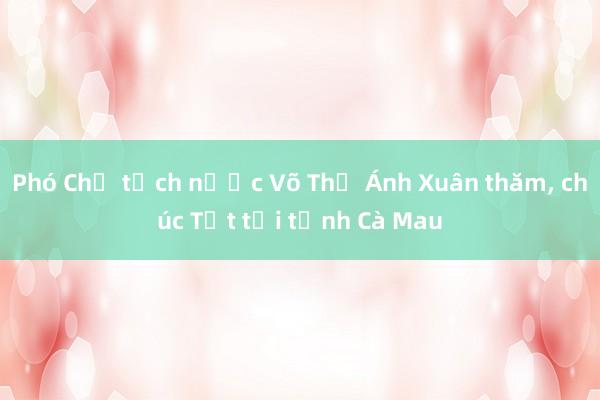 Phó Chủ tịch nước Võ Thị Ánh Xuân thăm， chúc Tết tại tỉnh Cà Mau