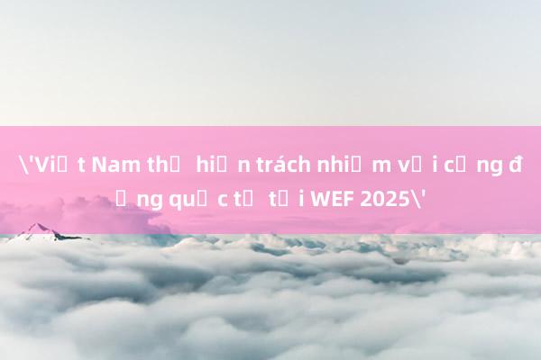 'Việt Nam thể hiện trách nhiệm với cộng đồng quốc tế tại WEF 2025'