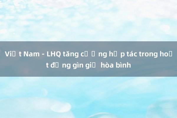 Việt Nam - LHQ tăng cường hợp tác trong hoạt động gìn giữ hòa bình