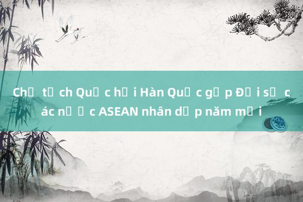 Chủ tịch Quốc hội Hàn Quốc gặp Đại sứ các nước ASEAN nhân dịp năm mới