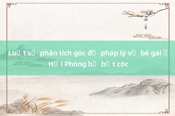 Luật sư phân tích góc độ pháp lý vụ bé gái ở Hải Phòng bị bắt cóc