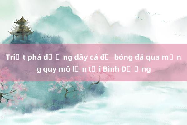 Triệt phá đường dây cá độ bóng đá qua mạng quy mô lớn tại Bình Dương