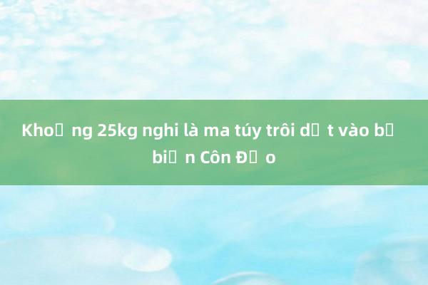 Khoảng 25kg nghi là ma túy trôi dạt vào bờ biển Côn Đảo