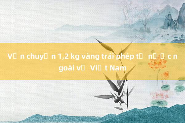 Vận chuyển 1,2 kg vàng trái phép từ nước ngoài về Việt Nam