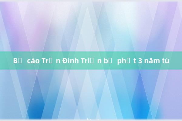 Bị cáo Trần Đình Triển bị phạt 3 năm tù