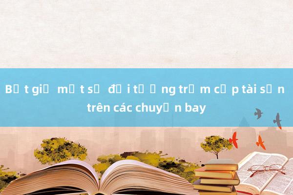 Bắt giữ một số đối tượng trộm cắp tài sản trên các chuyến bay