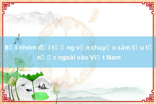 Bắt nhóm đối tượng vận chuyển sâm lậu từ nước ngoài vào Việt Nam