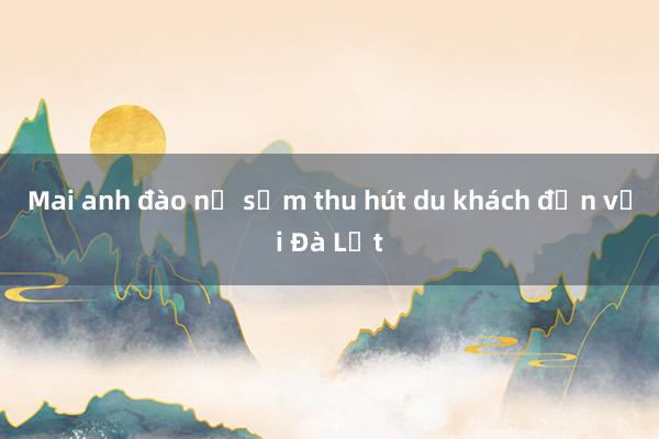 Mai anh đào nở sớm thu hút du khách đến với Đà Lạt