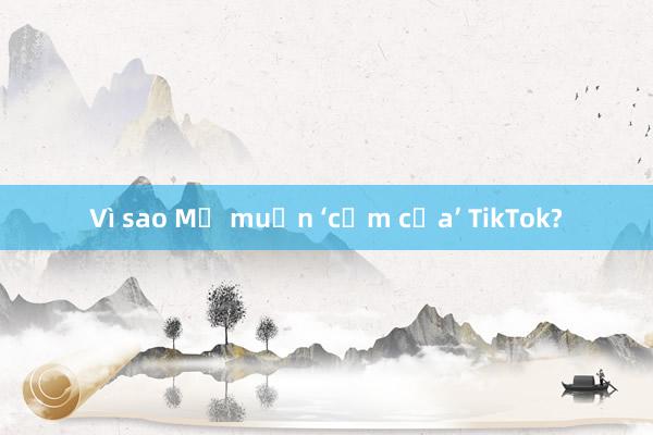 Vì sao Mỹ muốn ‘cấm cửa’ TikTok?