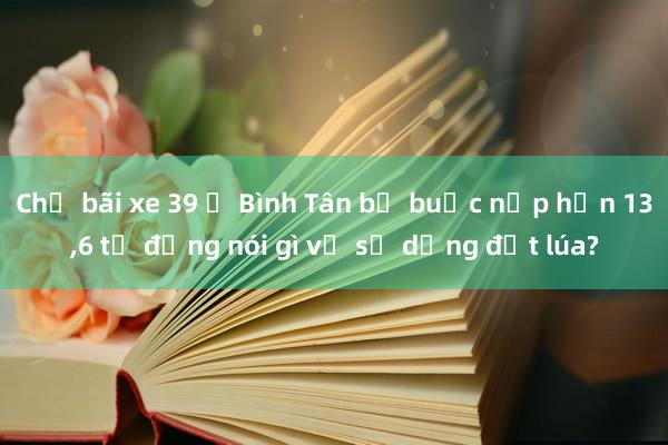 Chủ bãi xe 39 ở Bình Tân bị buộc nộp hơn 13，6 tỉ đồng nói gì về sử dụng đất lúa?