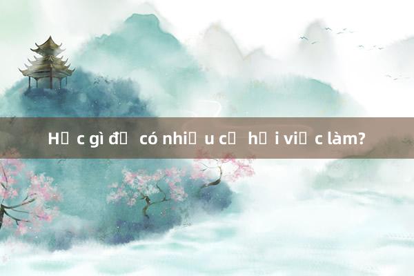 Học gì để có nhiều cơ hội việc làm?