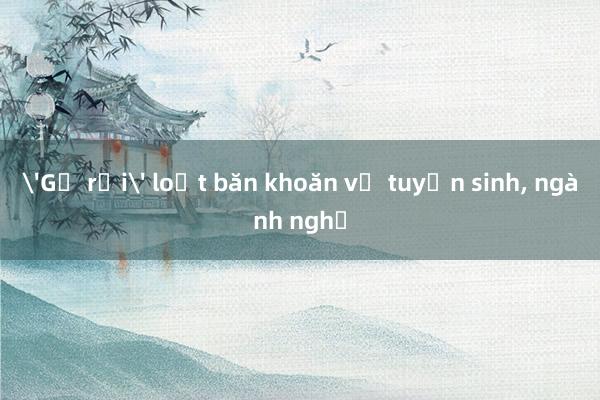 'Gỡ rối' loạt băn khoăn về tuyển sinh， ngành nghề