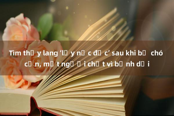 Tìm thầy lang ‘lấy nọc độc’ sau khi bị chó cắn， một người chết vì bệnh dại