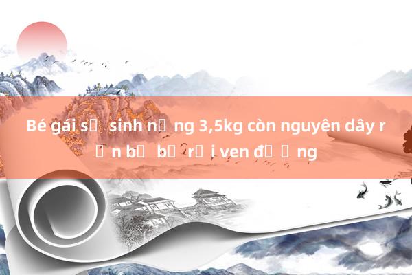 Bé gái sơ sinh nặng 3，5kg còn nguyên dây rốn bị bỏ rơi ven đường