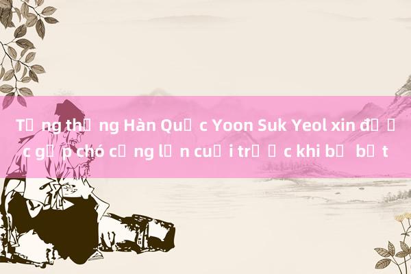 Tổng thống Hàn Quốc Yoon Suk Yeol xin được gặp chó cưng lần cuối trước khi bị bắt