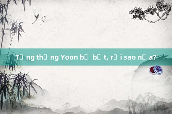 Tổng thống Yoon bị bắt， rồi sao nữa?