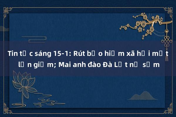 Tin tức sáng 15-1: Rút bảo hiểm xã hội một lần giảm; Mai anh đào Đà Lạt nở sớm