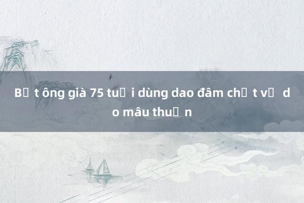 Bắt ông già 75 tuổi dùng dao đâm chết vợ do mâu thuẫn