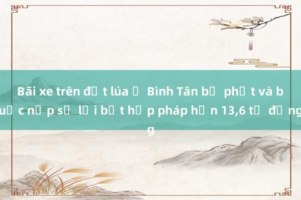 Bãi xe trên đất lúa ở Bình Tân bị phạt và buộc nộp số lợi bất hợp pháp hơn 13，6 tỉ đồng